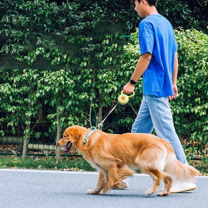 Retractable Dog Leash – Reflective Rope with Auto-Lock | Safe & Comfortable Pet Walking Lead